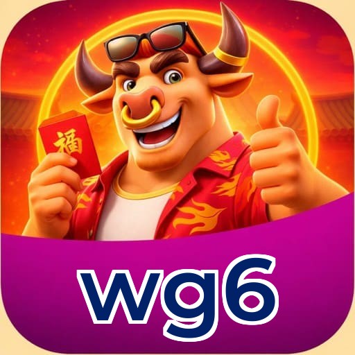 wg6 Premium Service